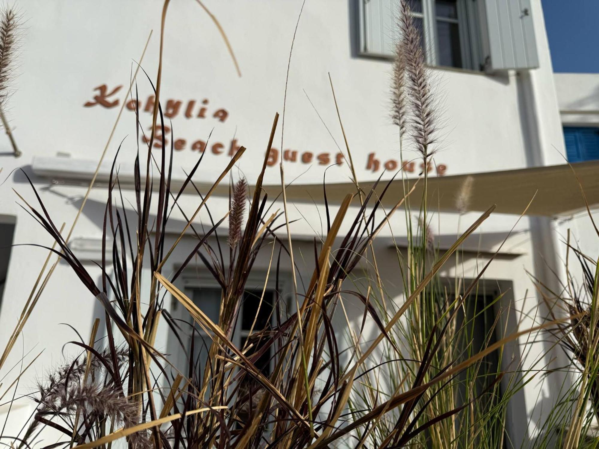 Kohylia Beach Guest House Platis Gialos  Dış mekan fotoğraf